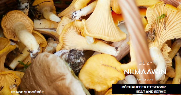 Stew of dried wild mushroom
