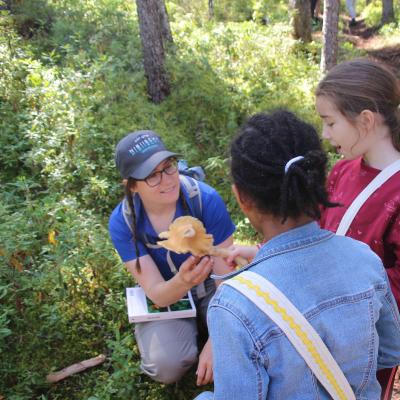 Randonnees Guidees Guided Hike